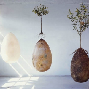 植樹造林膠囊狀棺具