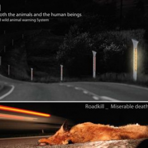 公路兩旁的動物保護光柱